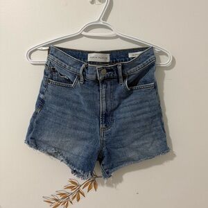 Aritzia Denim Forum Arlo Blue Women Shorts 25